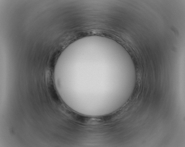 X0000113340222200909151012