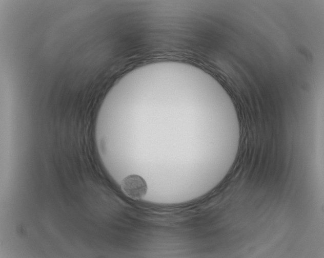 X0000113340223200909151012