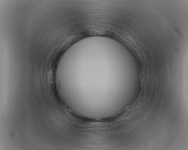 X0000113340224200909151012