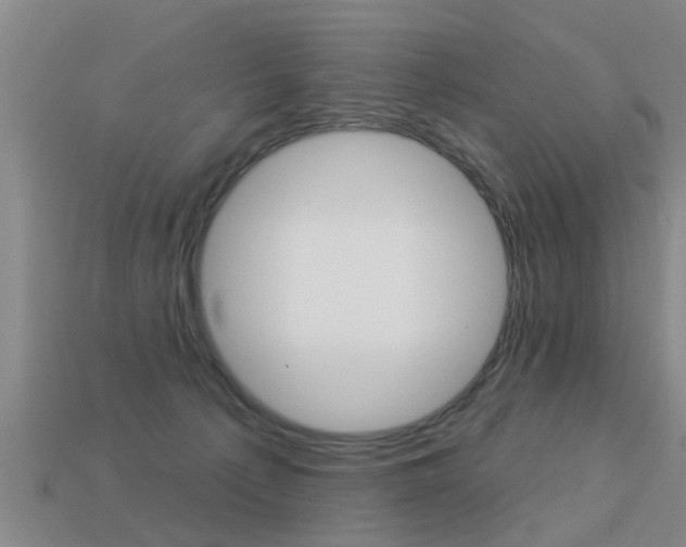 X0000113340225200909151012