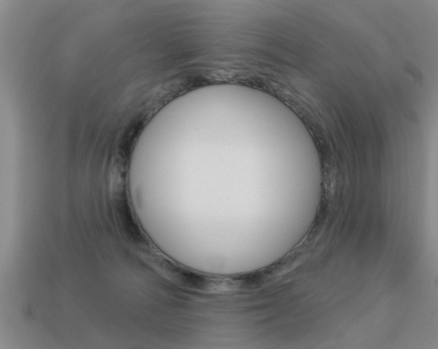 X0000113340226200909151012