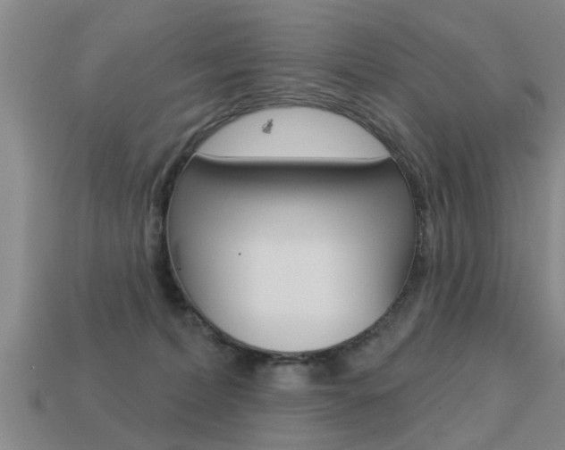 X0000113340228200909151012