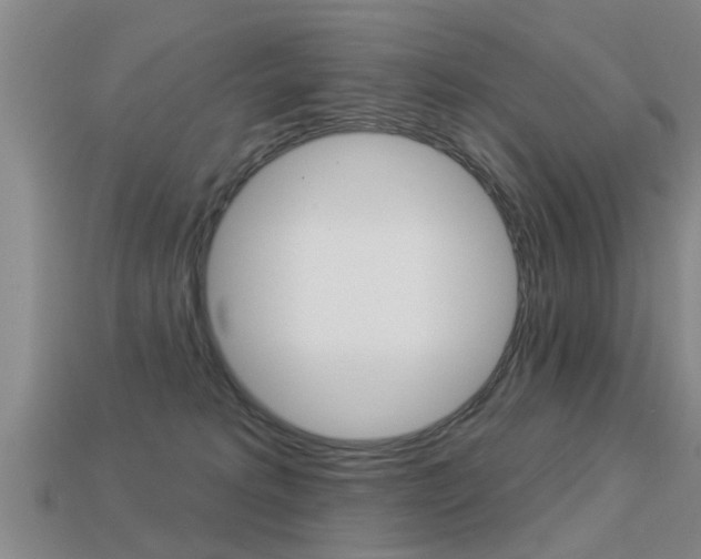 X0000113340229200909151012