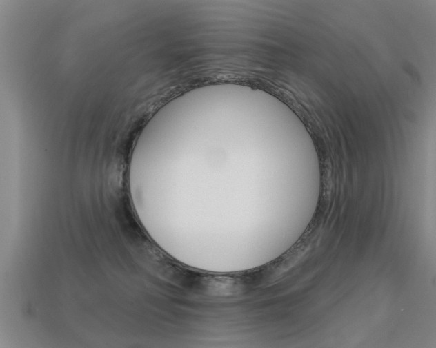 X0000113340230200909151012