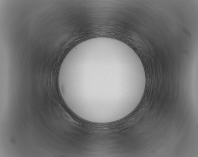 X0000113340231200909151012