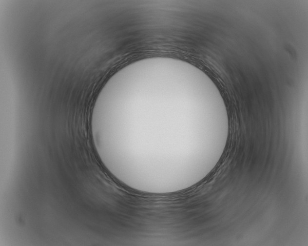 X0000113340233200909151012