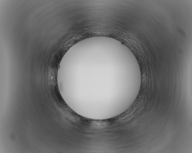 X0000113340234200909151012