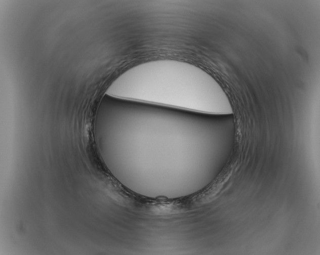 X0000113340235200909151012