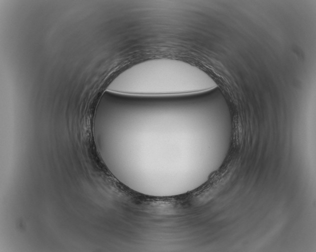 X0000113340236200909151012