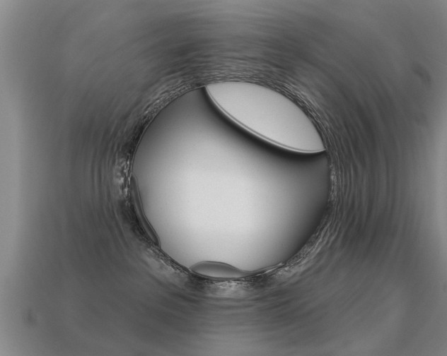 X0000113340237200909151012