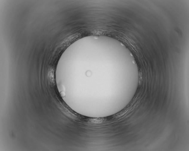 X0000113340238200909151012