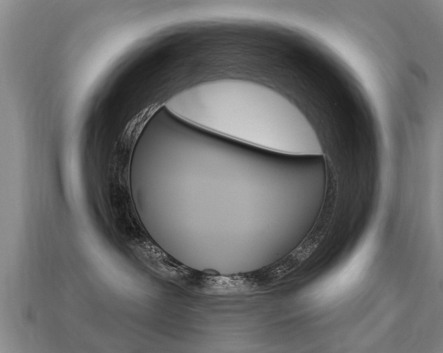 X0000113340239200909151012