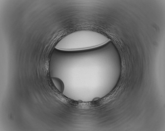 X0000113340240200909151012