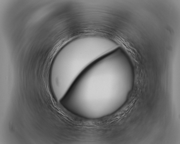 X0000113340241200909151011