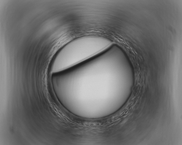 X0000113340242200909151011