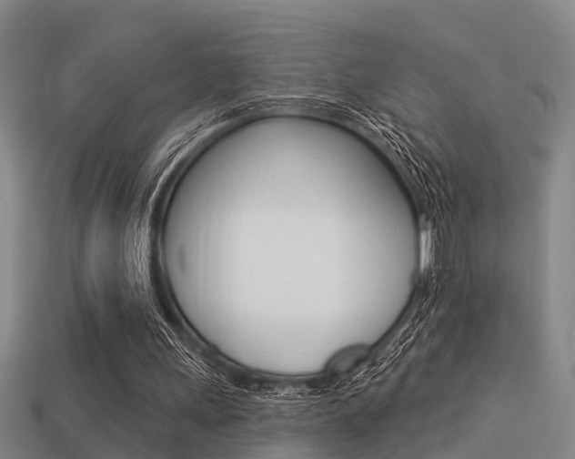 X0000113340243200909151011