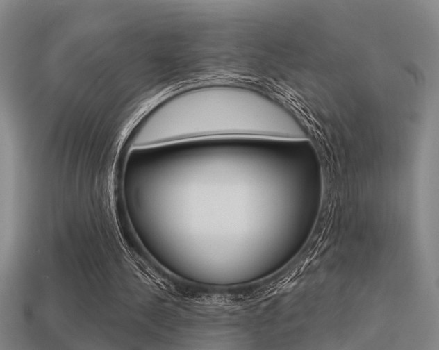 X0000113340244200909151011