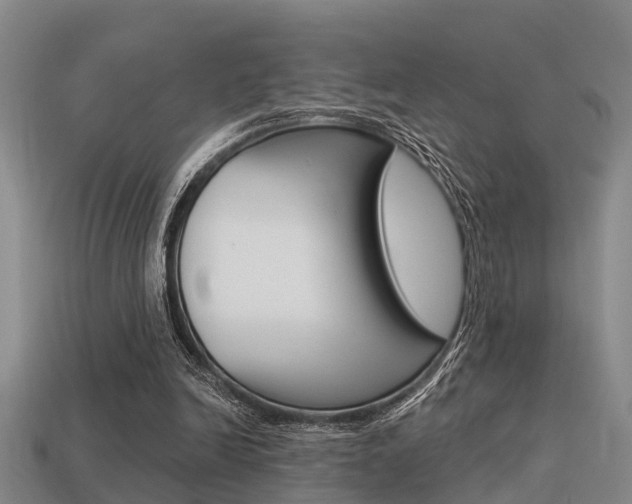 X0000113340246200909151011