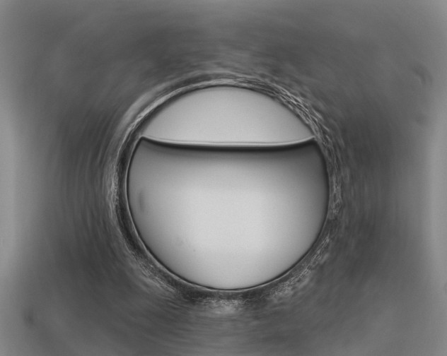 X0000113340247200909151011