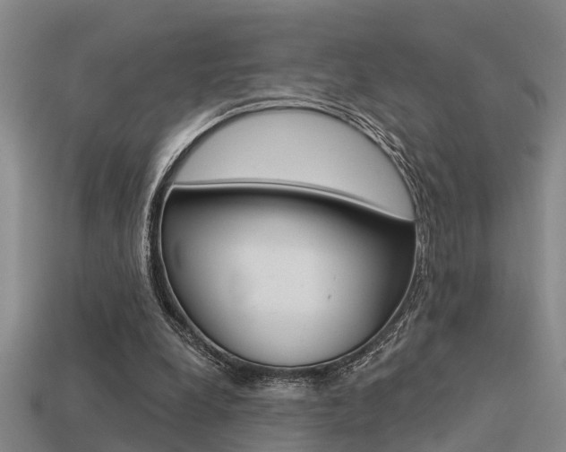 X0000113340248200909151011