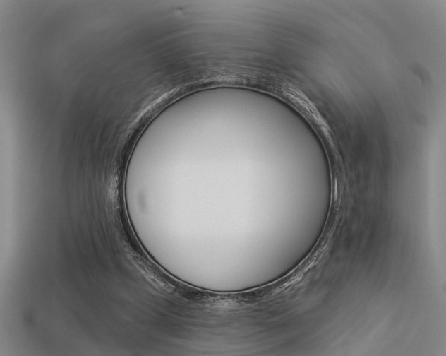 X0000113340249200909151012