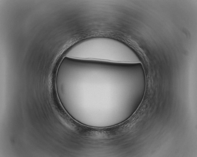 X0000113340250200909151012