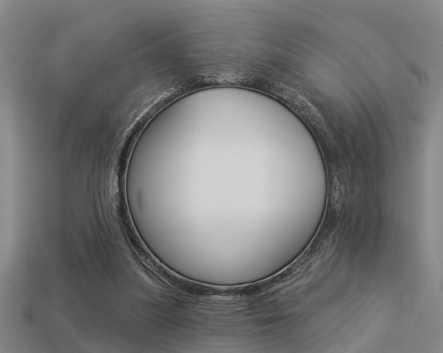 X0000113340251200909151012