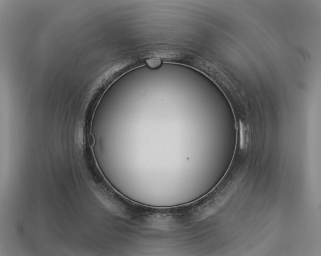 X0000113340252200909151012