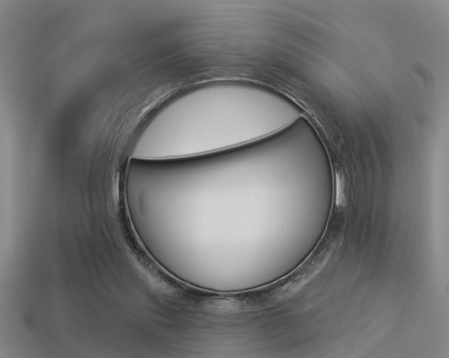 X0000113340253200909151012