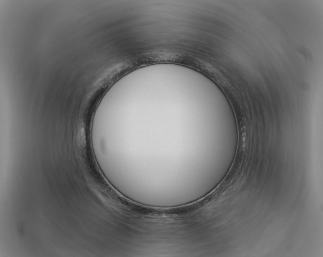 X0000113340254200909151012