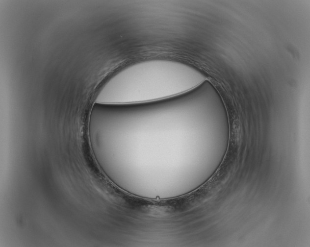 X0000113340255200909151012