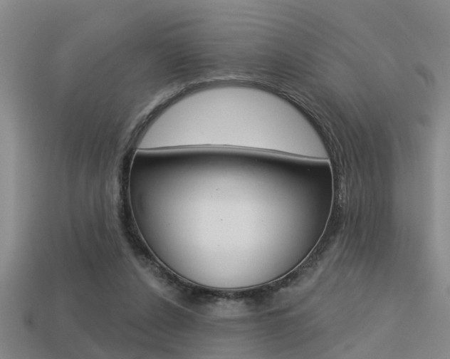 X0000113340256200909151012