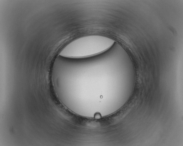 X0000113340258200909151012