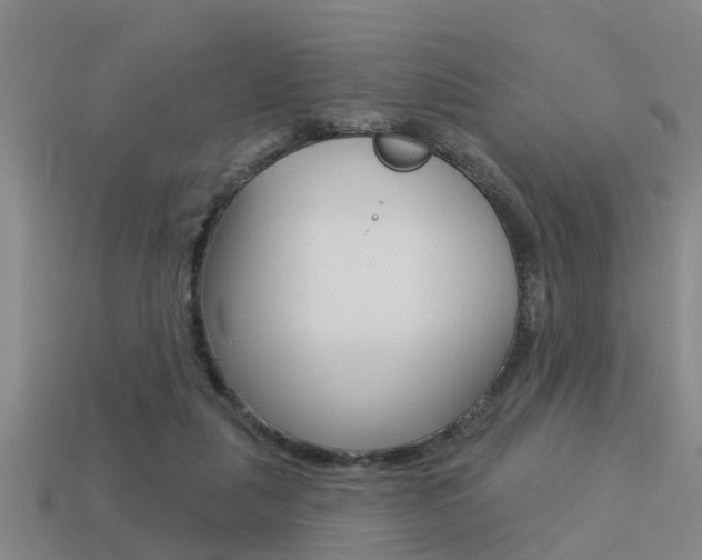 X0000113340259200909151012