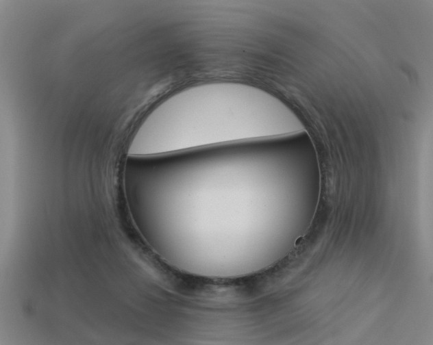 X0000113340260200909151012