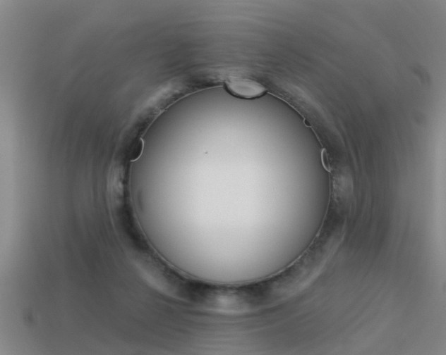 X0000113340264200909151012