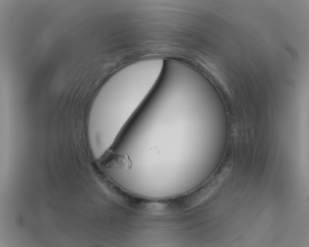 X0000113340265200909151012