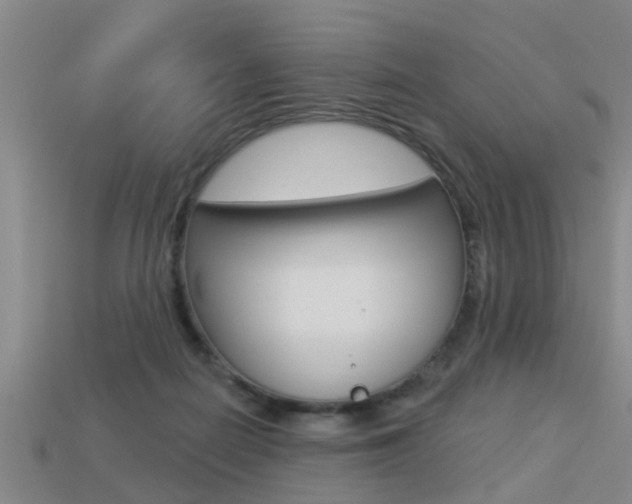 X0000113340266200909151012