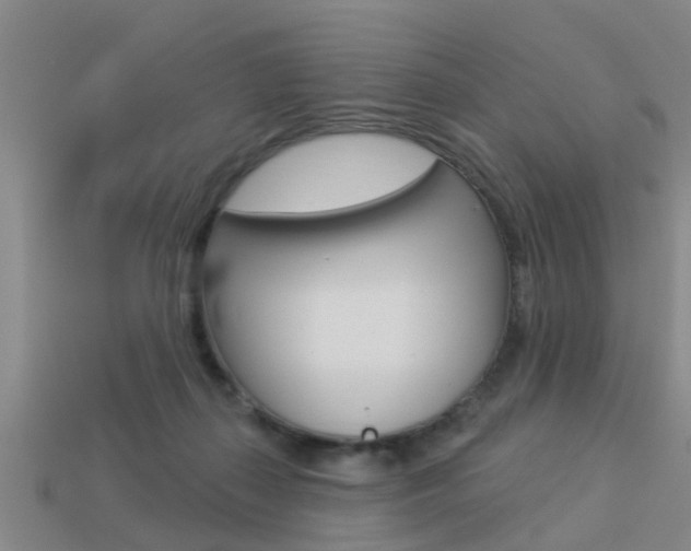 X0000113340267200909151012