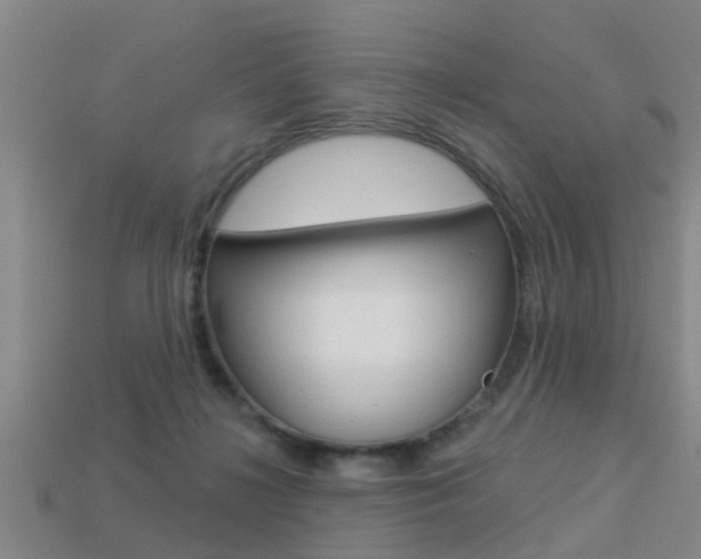 X0000113340268200909151012