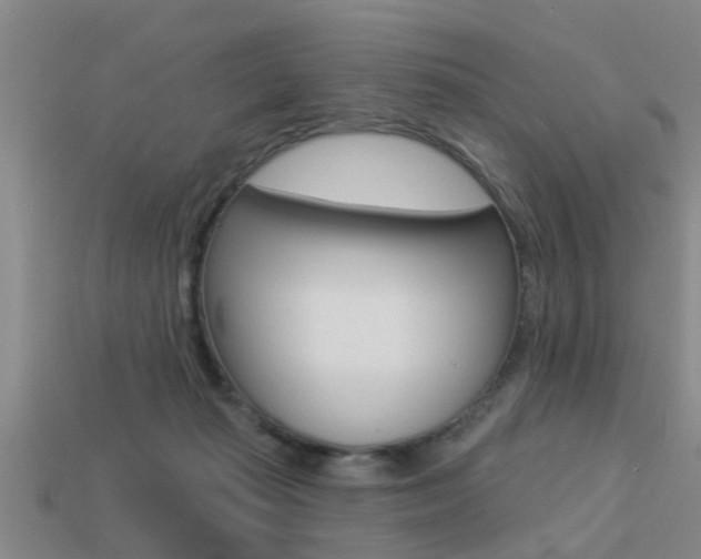 X0000113340269200909151012