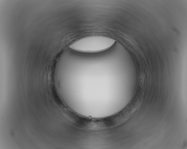 X0000113340270200909151012