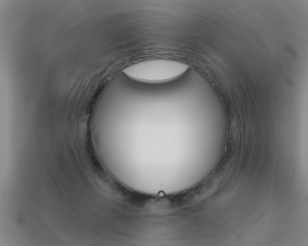 X0000113340271200909151012
