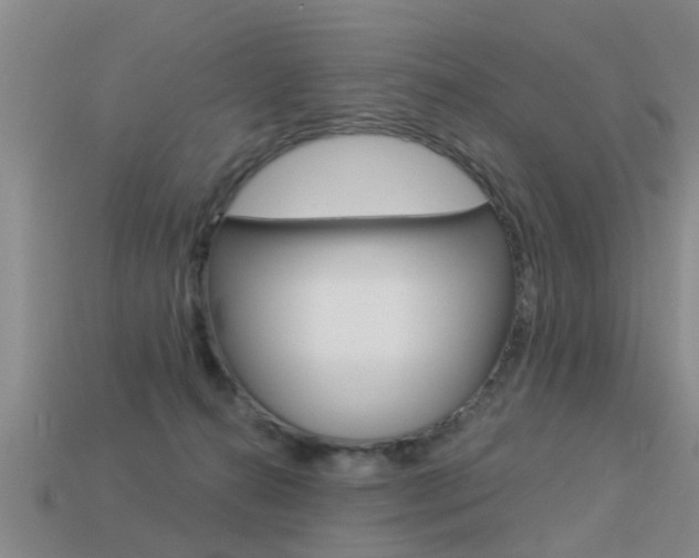 X0000113340272200909151012