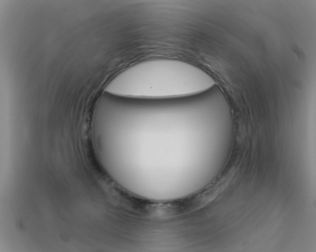 X0000113340273200909151012