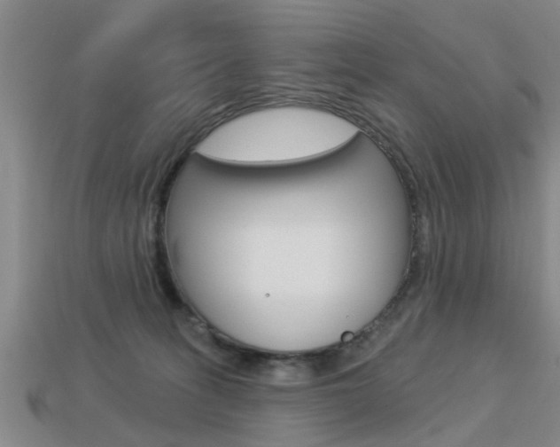 X0000113340275200909151012