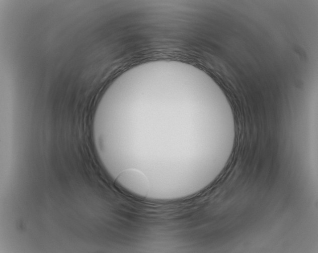 X0000113340276200909151012