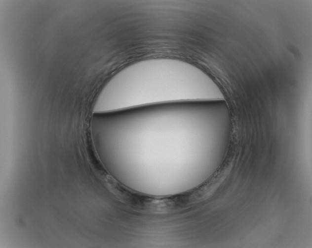 X0000113340277200909151012