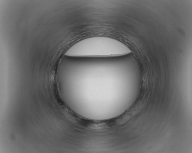 X0000113340278200909151012