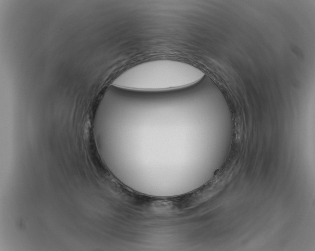 X0000113340279200909151012